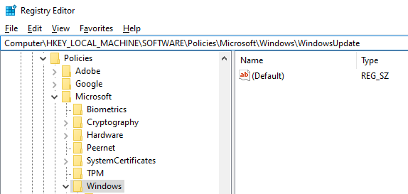 Microsoft\Windows\WindowsUpdate    settings in Registry editor